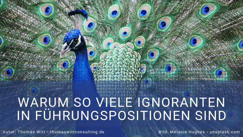 Warum So Viele Inkompetente Männer In Führungspositionen Sind